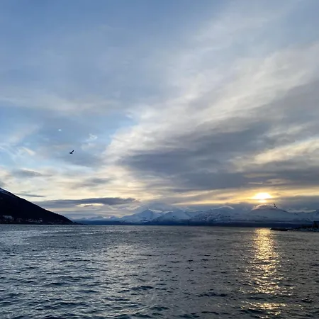 Royal On The Edge By The Sea Tromsø
